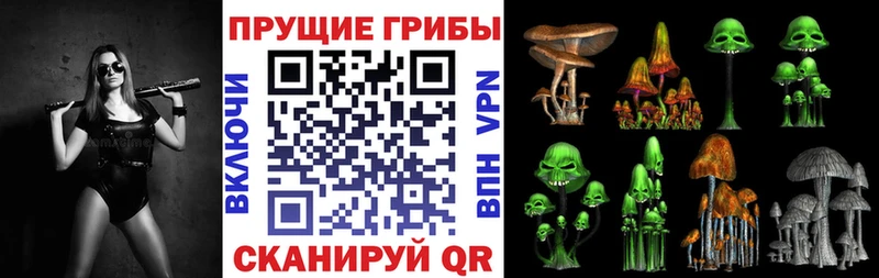 Галлюциногенные грибы мухоморы  купить наркотики цена  Светлоград 