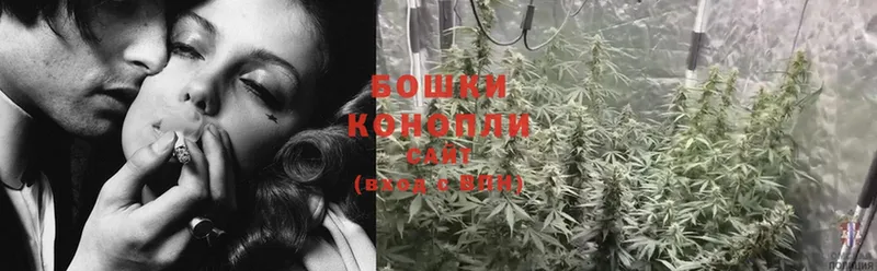 Шишки марихуана SATIVA & INDICA  blacksprut как зайти  Светлоград  где можно купить наркотик 